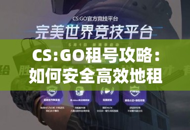 CS:GO租号攻略：如何安全高效地租用游戏账号