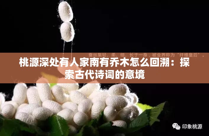 桃源深处有人家南有乔木怎么回溯：探索古代诗词的意境