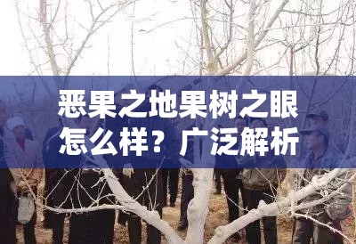 恶果之地果树之眼怎么样？广泛解析其特点与玩法